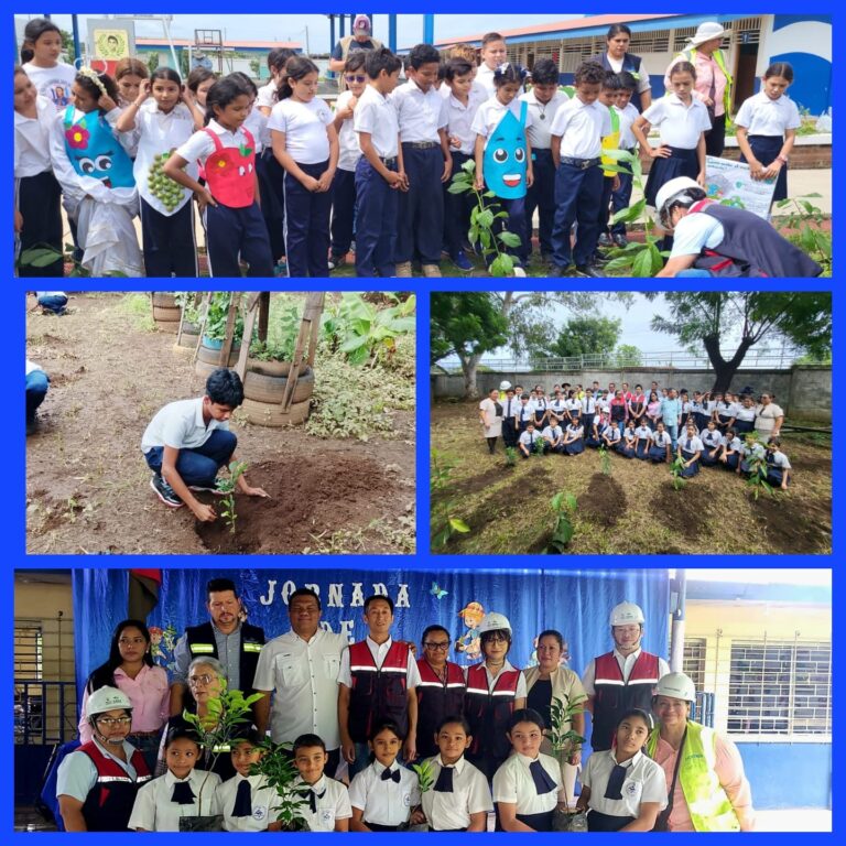 Más de 4 mil 500 árboles fortalecen el cuido de la Madre Tierra en Managua