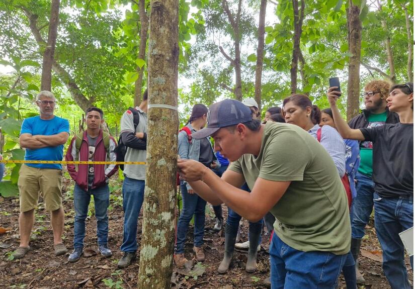 Jóvenes y Familias del Campo celebran 13 años del Programa Revolucionario Universidad en el Campo, el cual inició en el Departamento de Matagalpa, en El Tuma-La Dalia. Actualmente este Programa en Matagalpa cuenta con 4,700 Estudiantes en 23 Sedes ubicadas en diferentes Comunidades y Municipios del País. Este año el Programa tuvo un importante incremento del 152% con respecto al 2024 en el Departamento de Matagalpa, llegando a 5 nuevas Comunidades y ofertando 4 nuevas Carreras. En este Departamento se han graduado más de 1,100 Protagonistas quienes contribuyen al desarrollo económico, social, tecnológico y modernización de servicios de su Municipio y las Familias en general. El Programa UNICAM tiene presencia a Nivel Nacional desde 7 Universidades Públicas en 135 Municipios del País, ofertando 115 Carreras con el protagonismo de 38,153 Estudiantes y el 60% de Estudiantes Mujeres, graduándose hasta la fecha 2,368 nuevos Profesionales.