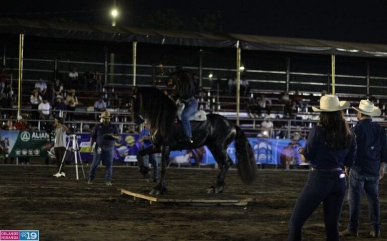 En la Feria Ganadera Navidad 2025 encuentras de todo