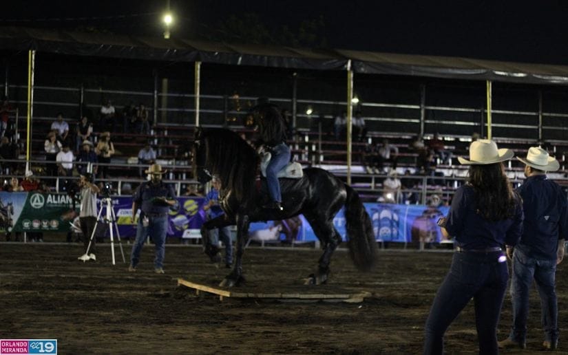 En la Feria Ganadera Navidad 2025 encuentras de todo