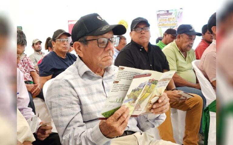 INTA comparte cartillas con recomendaciones técnicas para la producción de café, cacao, arroz y frijol