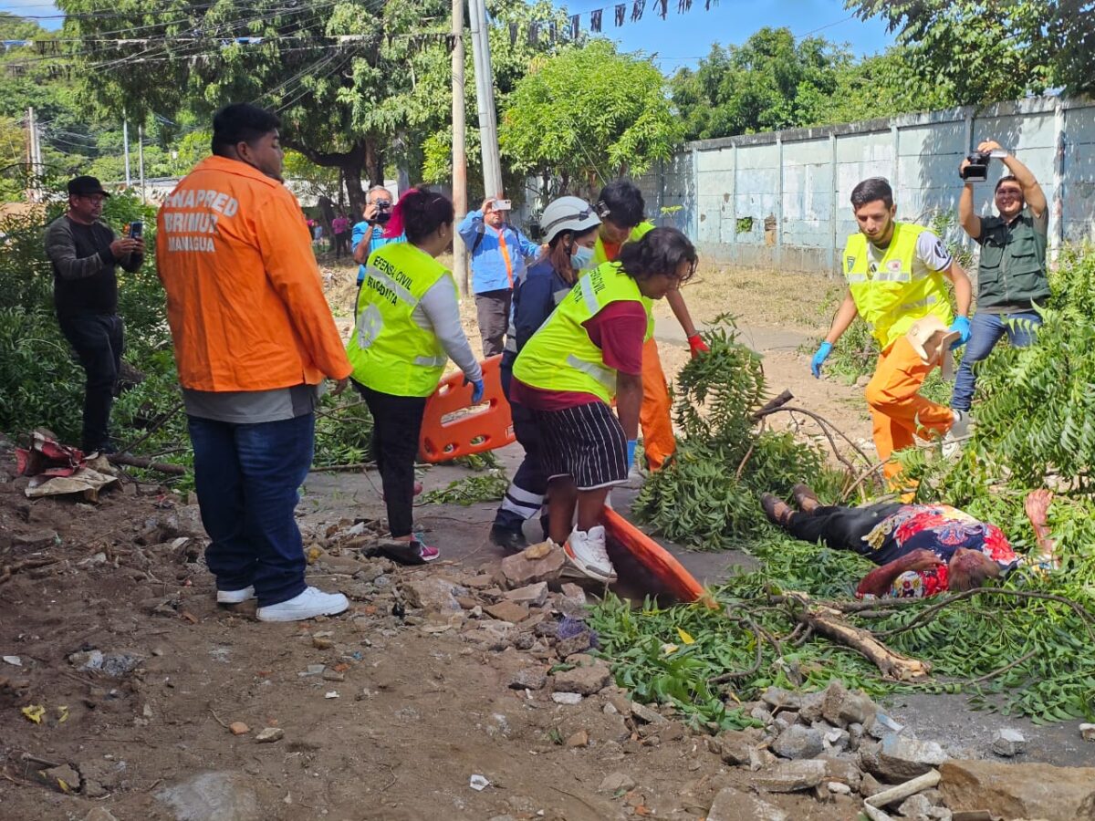 4 Ejercicio de Prevención todo un éxito 1
