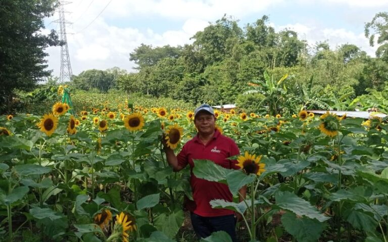 Producción de flores en Nicaragua alcanza 778 mil docenas entre mayo y diciembre de 2025