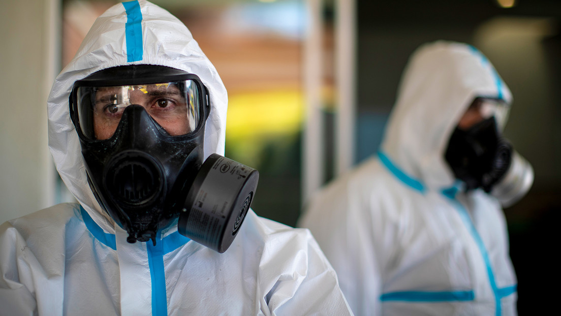 España detecta brote de peste porcina africana