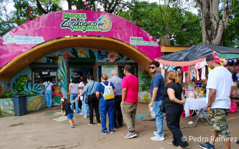 Familias disfrutan de la fauna y naturaleza en el Parque Zoológico Nacional