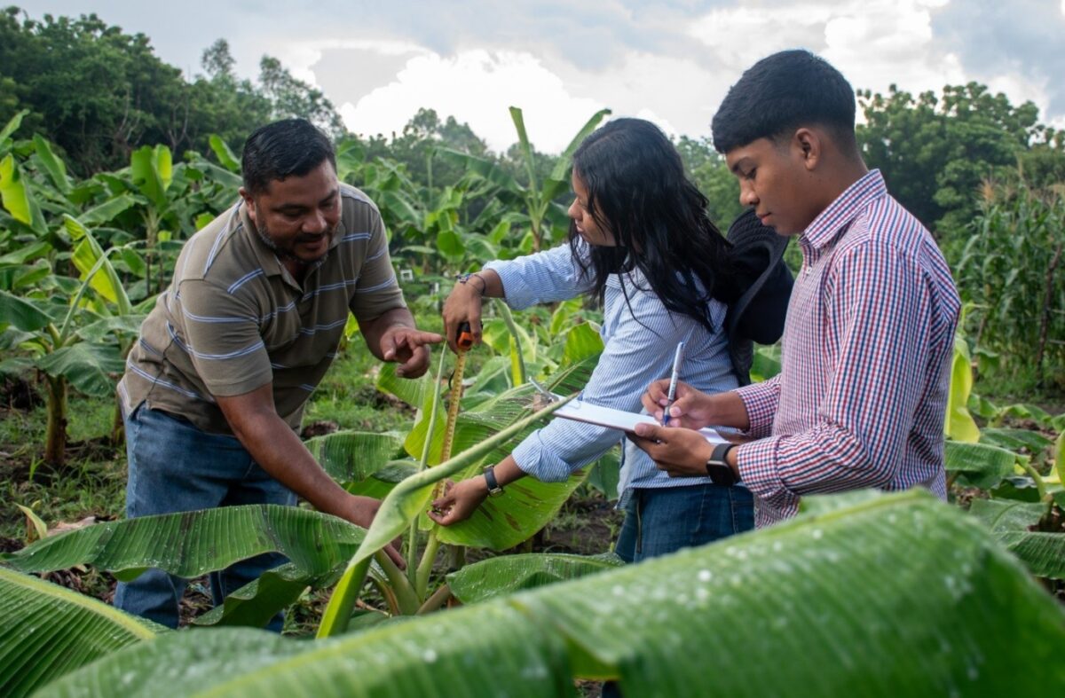 Gobierno Sandinista garantiza formación universitaria a más de 9,000 jóvenes en el Occidente del país