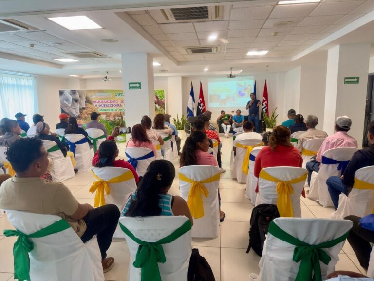 INTA impulsa tecnologías nutricionales para el aumento del rendimiento de leche