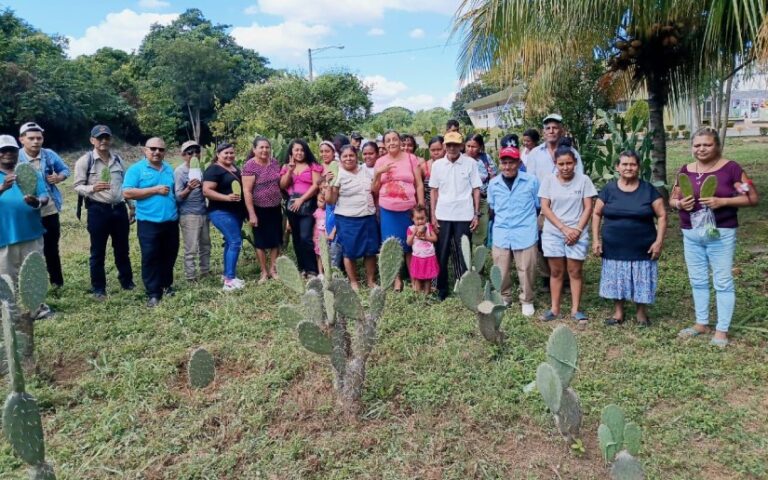 INTA presenta nueva variedad de Nopal “Tuna Naranja” en Chinandega