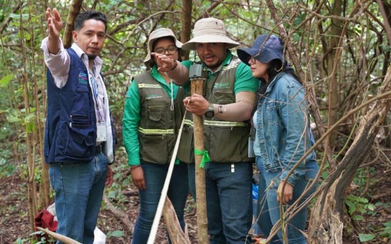 MARENA culmina con éxito la tercera etapa del Inventario Nacional Forestal 2025