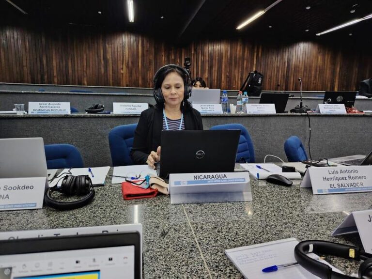 Representación del MARENA participa en reunión sobre bosques de la Organización de las Naciones Unidas