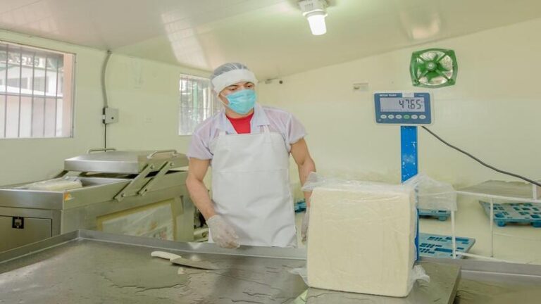 Nicaragua registra producción de 213 millones de libras de queso y cuajada