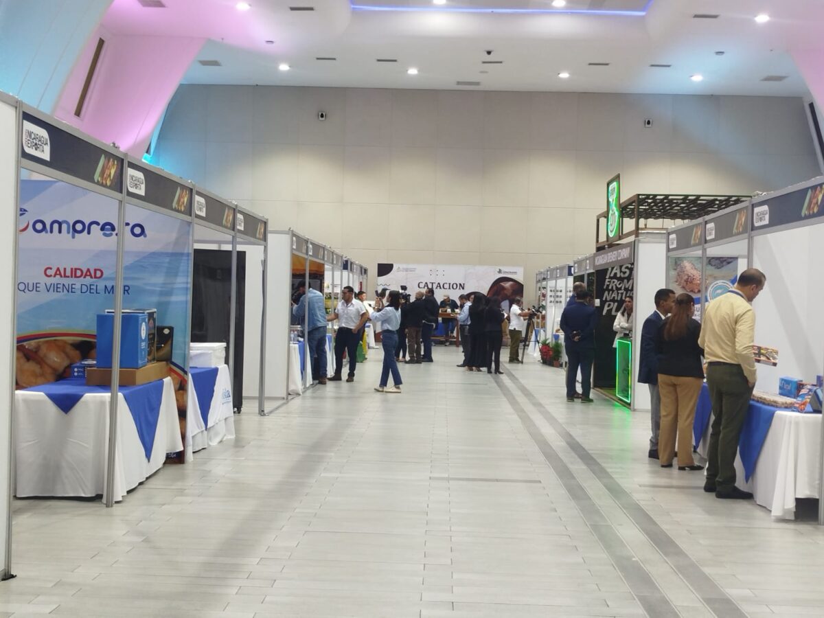 Realizan Primera subasta electrónica de café en Nicaragua Exporta