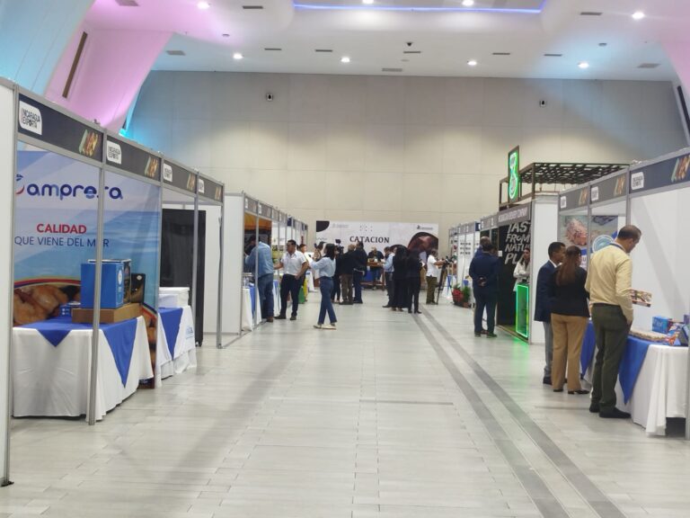 Realizan Primera subasta electrónica de café en Nicaragua Exporta