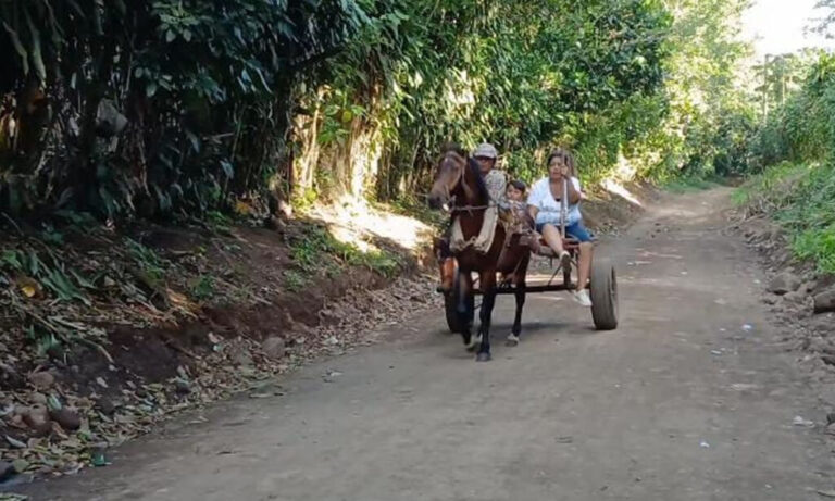 Rehabilitan caminos productivos en San Marcos