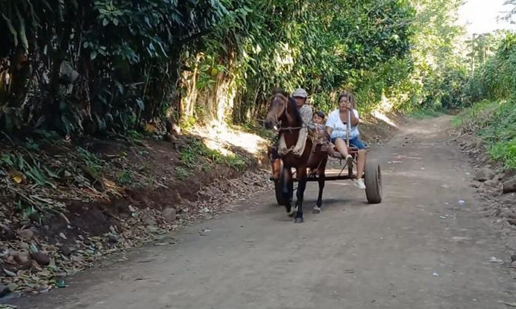 Rehabilitan caminos productivos en San Marcos