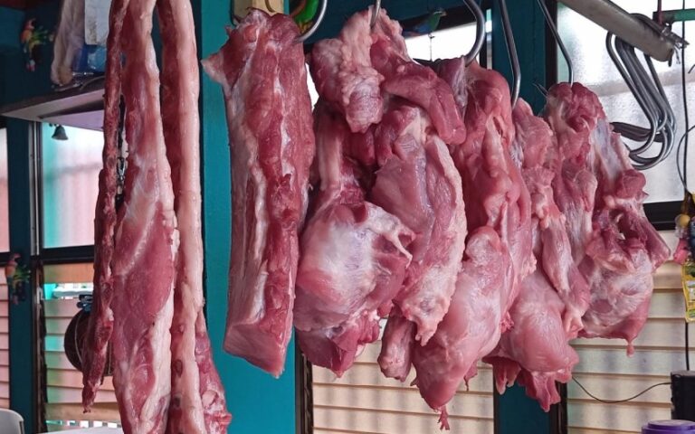 Producción de carne de cerdo en Nicaragua alcanza 29.3 millones de libras en 2025