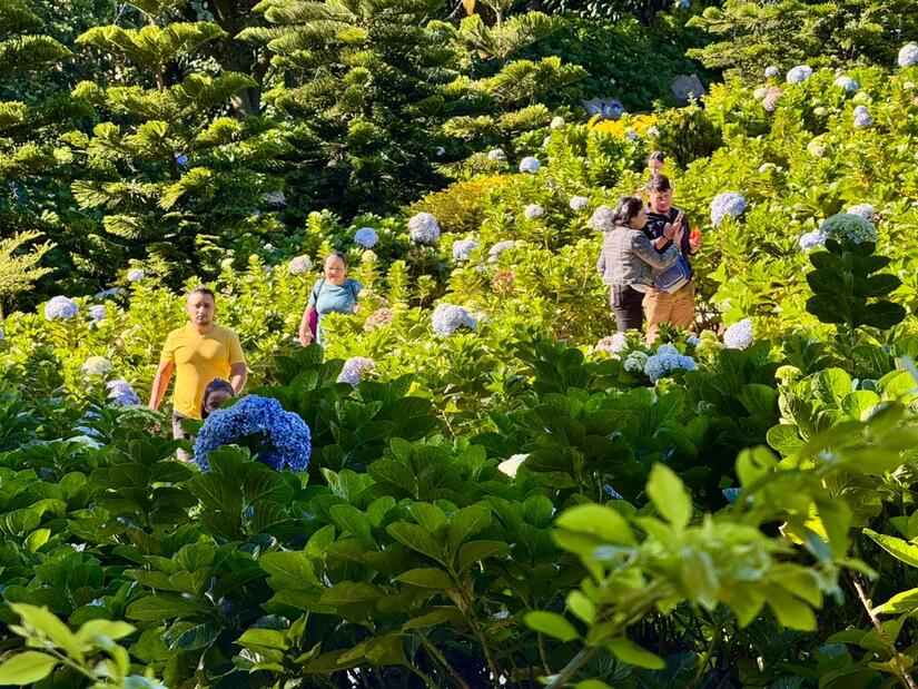 El Crucero atrae a familias con su naturaleza y vistas únicas