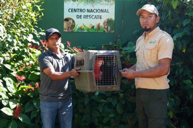 Centro Nacional de Rescate garantiza conservación y protección de la fauna silvestre