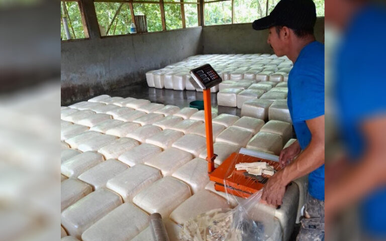 Producción nacional de queso y cuajada alcanza 251.5 millones de libras en 2025