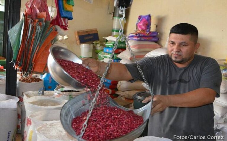 Productos de la canasta básica mantienen estable sus precios