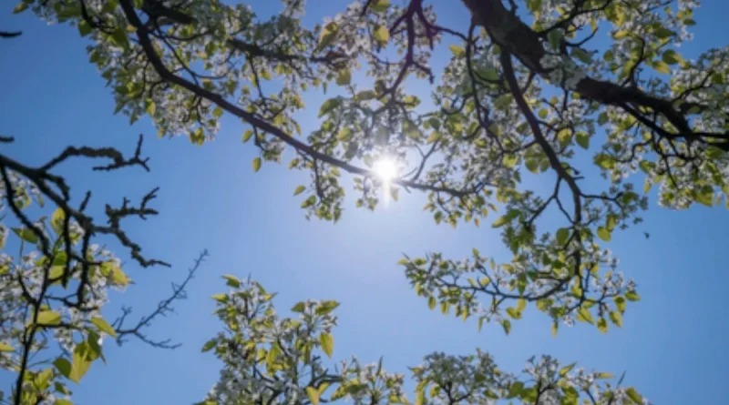 Pronostican ambiente caluroso, nubosidad y lluvias en Nicaragua