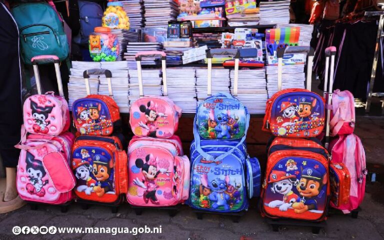 Útiles escolares con precios asequibles en el Mercado Mayoreo