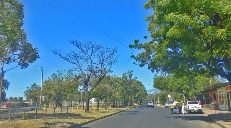 Mañanas frescas, tardes soleadas y posibilidades de lluvias