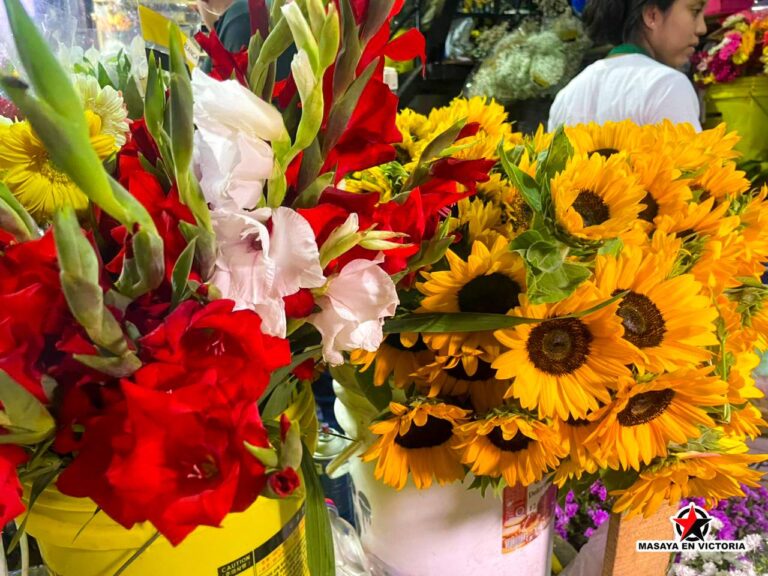 Masaya para el 14 de febrero se prepara con todo