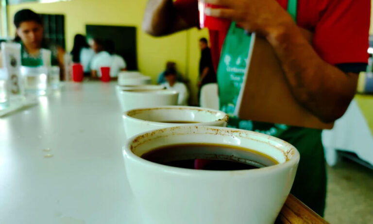 Certamen Taza Segoviana reconoce la excelencia cafetalera en su XX edición