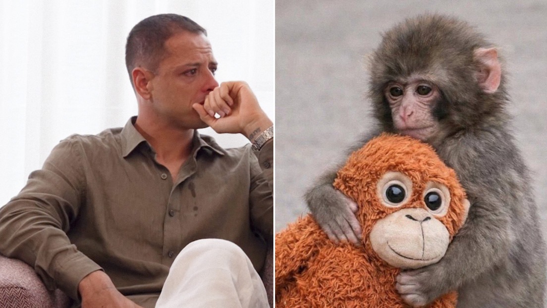 Punch pone a llorar hasta 'Chicharito'