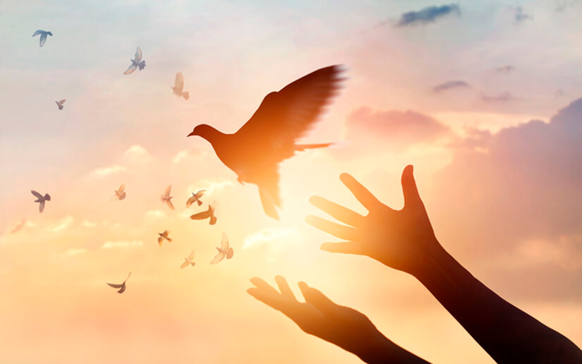 Rosario: “Con Dios todo podemos”