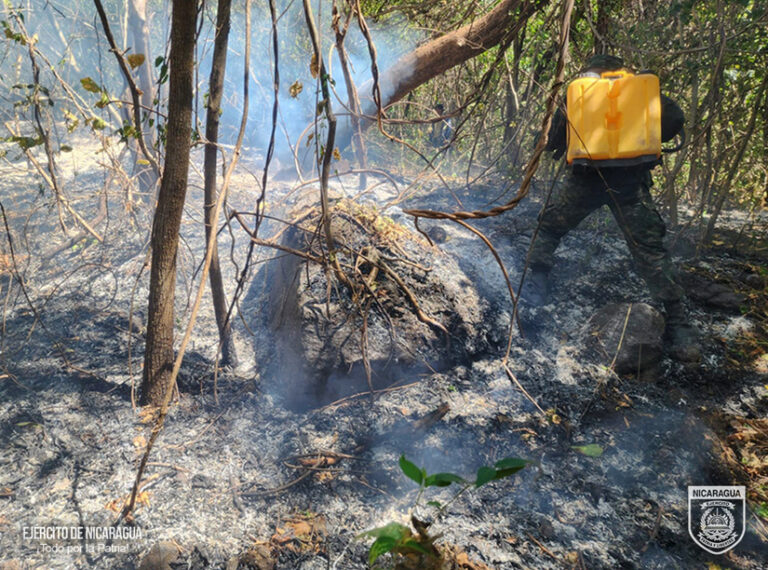 Ejército de Nicaragua sofoca incendio forestal