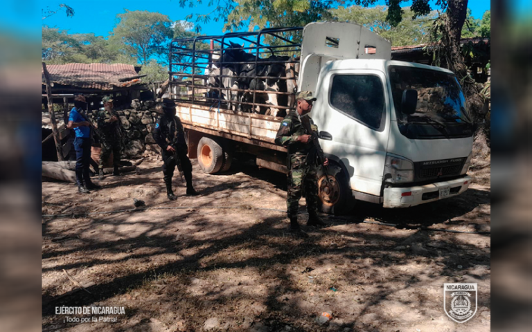Ejército de Nicaragua ocupa semovientes trasladados ilegal