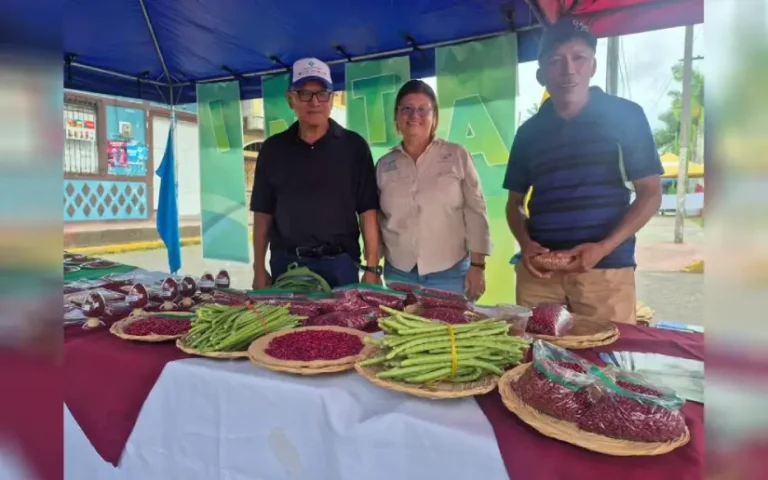 Festival de frijol en apante