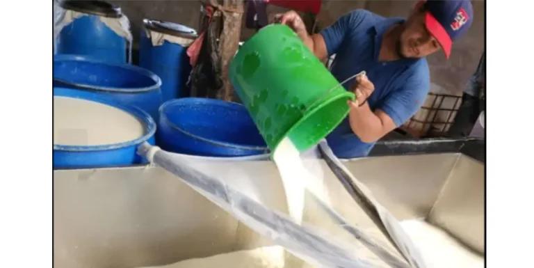 Informe de Gestión Institucional del MAG