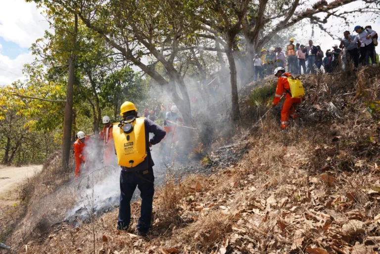 MARENA lanza plan departamental para prevenir incendios forestales y agropecuarios en Madriz