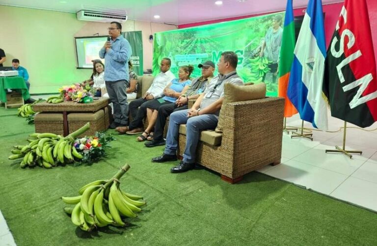 Más de 150 productores fortalecen capacidades en transformación del plátano