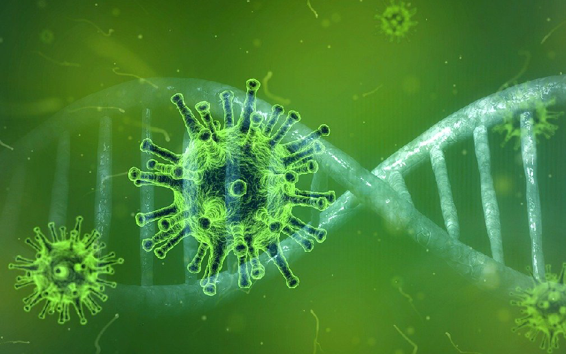 Otra semana sin casos de Covid 19 en Nicaragua