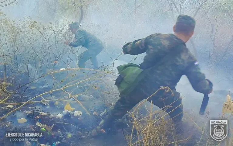 Sofocan incendio agropecuario en sector de Nejapa