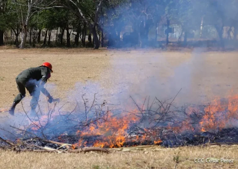 Defensa Civil presenta su Plan de Prevención y Control de Incendios