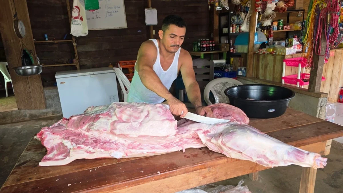 4.6 millones de libras de carne porcina son producidas en febrero 2026
