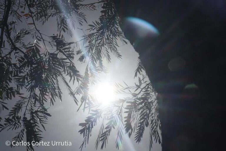 Ambiente caluroso predomina en Nicaragua