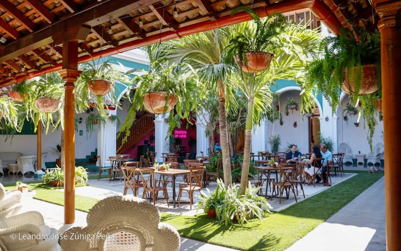 Casa de los Tres Mundos cultura, historia y gastronomía en el corazón de Granada