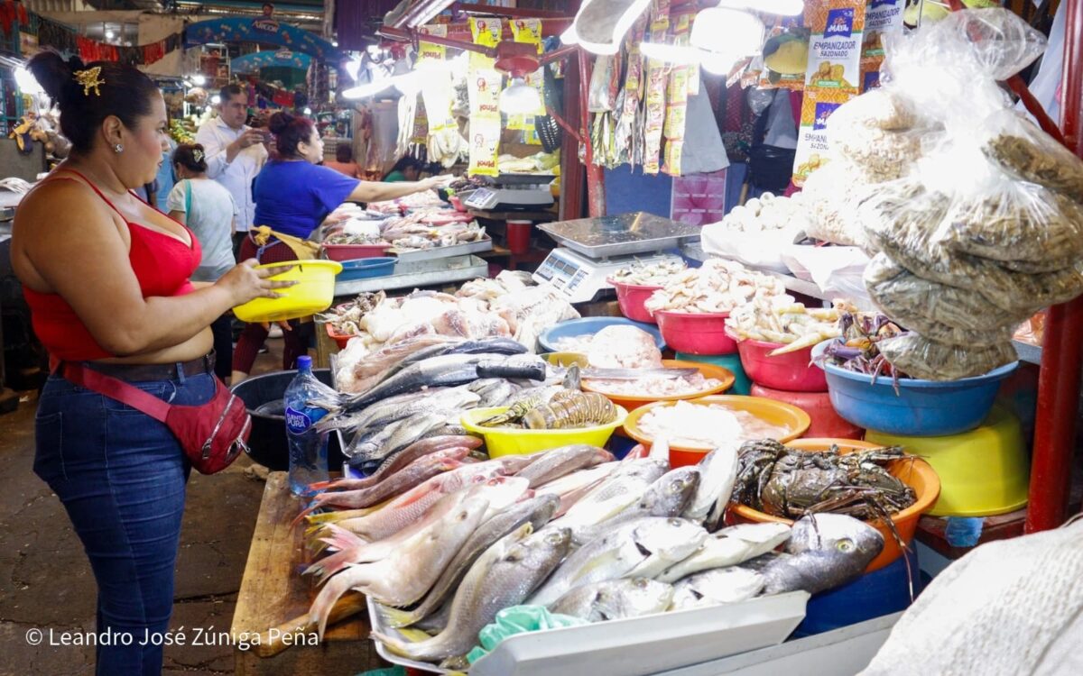 Comerciantes totalmente abastecidos con mariscos