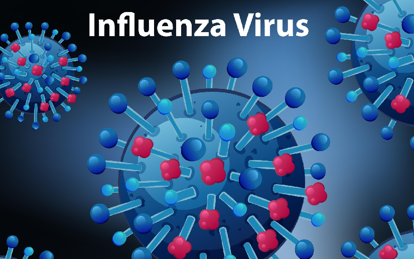 Dengue e influenza disminuyen en Nicaragua