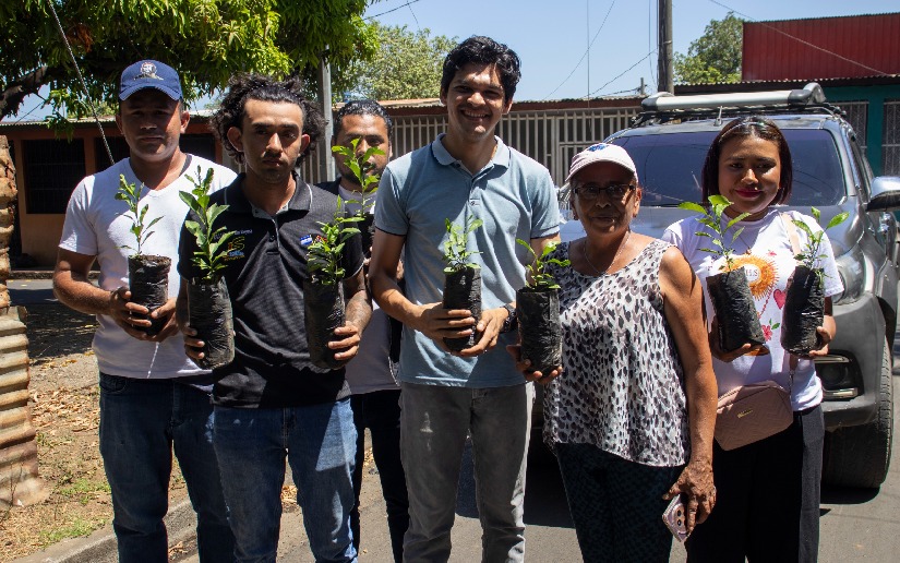 Entregan más de 200 plantas de limón real
