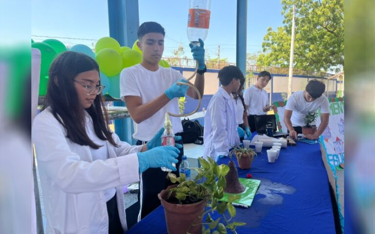 Estudiantes presentan proyectos basados en contenidos aprendidos