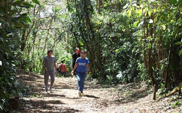 Nicaragua celebra el “Centroamérica Big Day”