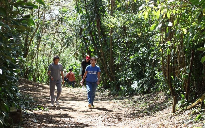 Nicaragua celebra el “Centroamérica Big Day”