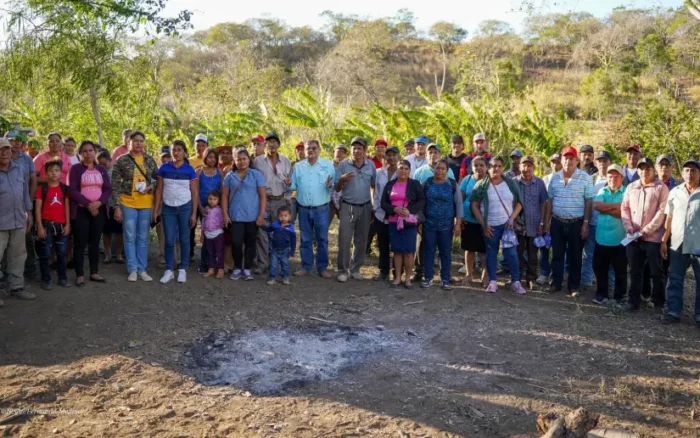 Vigilancia sanitaria contra gusano barrenador